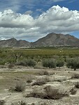 IMG_0699