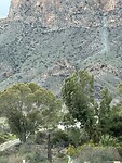 IMG_0705