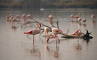IMG_0762