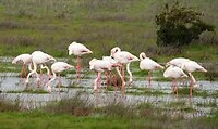 IMG_0764