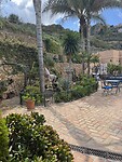 IMG_0864