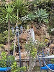 IMG_0873