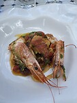 IMG_0884