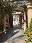 IMG_0890