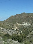 IMG_0892