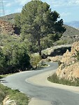 IMG_0893