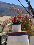 IMG_0908