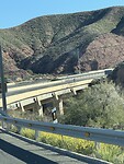 IMG_1005