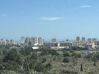 IMG_1009