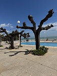IMG_1013
