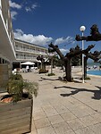 IMG_1015