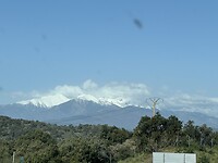 IMG_1040