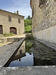 IMG_1349