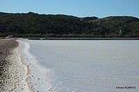 IMG_1390