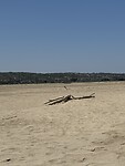 IMG_1462