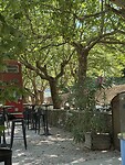 IMG_1550