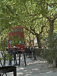 IMG_1551