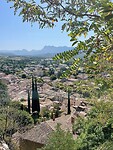IMG_1716