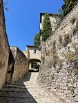 IMG_1748