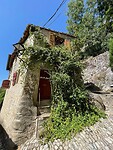IMG_1750