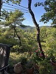 IMG_1770
