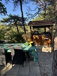 IMG_1771