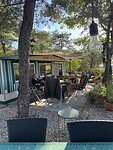 IMG_1774