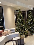 IMG_2362