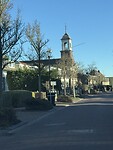 IMG_2385