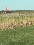 IMG_2386
