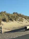 IMG_2390
