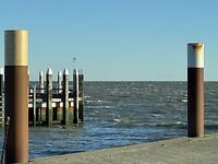 IMG_2397