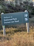IMG_2433
