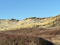 IMG_2426