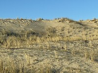 IMG_2427