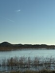IMG_2432