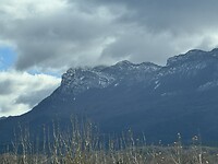 IMG_2577