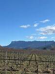 IMG_2585