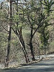 IMG_2584