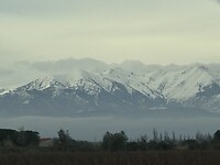 IMG_2597