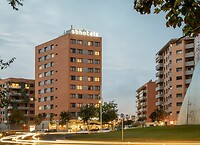 IMG_2588