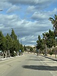 IMG_2617