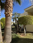 IMG_2629