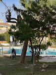 IMG_2630