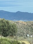 IMG_2663