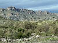 IMG_2669