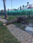 IMG_2736