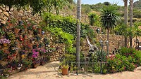 IMG_2873