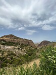 IMG_2875