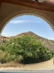 IMG_2876